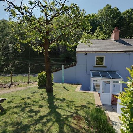 Lilac Cottage Parkend Екстер'єр фото