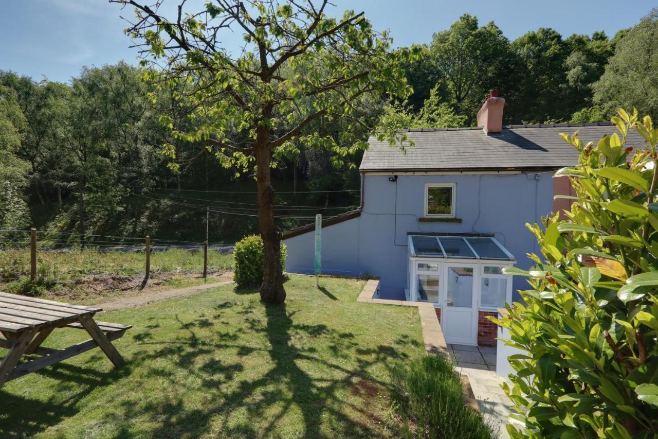 Lilac Cottage Parkend Екстер'єр фото