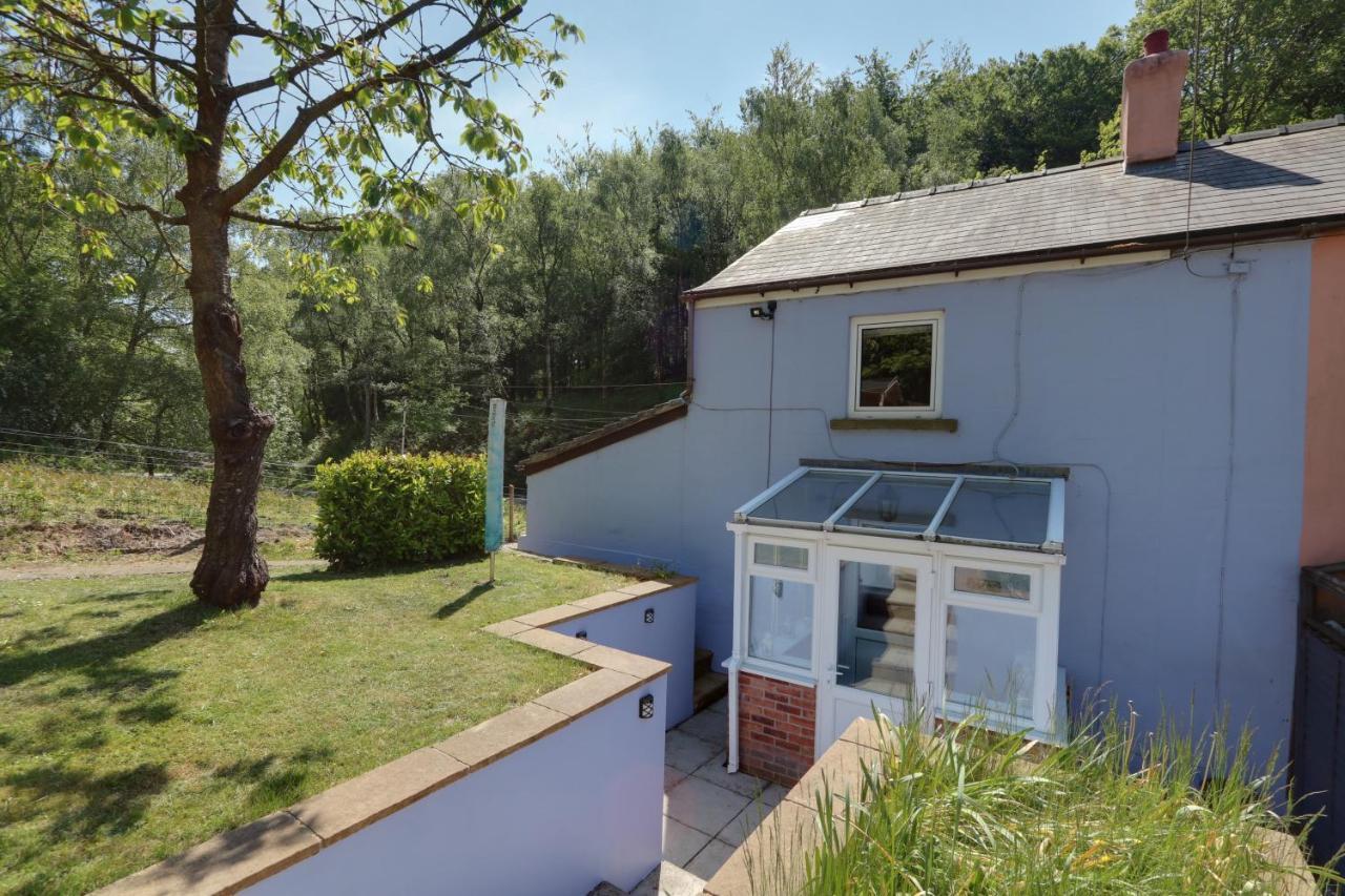 Lilac Cottage Parkend Екстер'єр фото